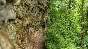 Geführte Wanderungen bei der Sauschwänzlebahn