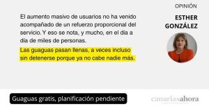 Guaguas gratis, planificación pendiente