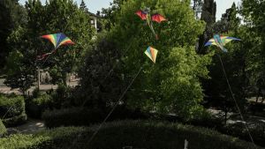 Nel parco di Villa Cora arrivano gli aquiloni per tutti