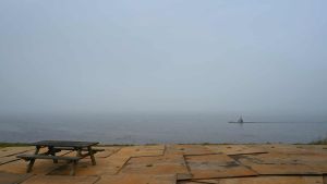 Populært badeområde får ny badebro: Pælene er 12 meter lange