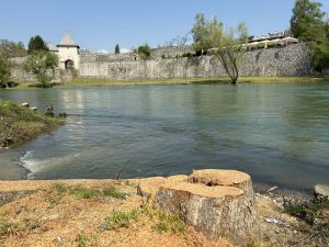 Grad priznaje propust zbog sječe stabala, “Vode Srpske” negiraju saglasnost