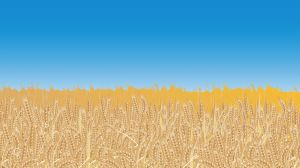 Ukraine’s Grain is Ukraine’s, Israel Can Fix It