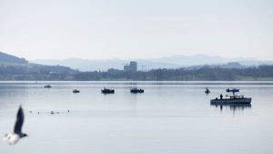 PFAS: Zwischen Alltagsnutzen und Umweltgefahr