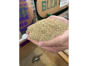 GARDEN CLIPPINGS: Grass seed explained