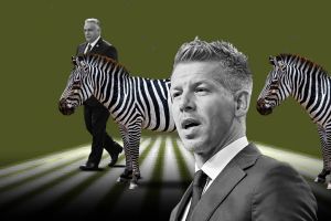 Kako su zebre srušile Orbana