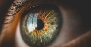 What AI Can't Calculate About a Human Life