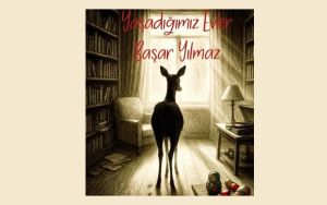 “Yaşadığımız Evler