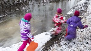 Stikk fingeren i jorden. Bokstavelig talt