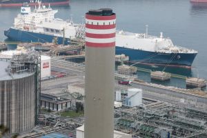 Del TACO al FOMO: la reapertura da la razón a los optimistas