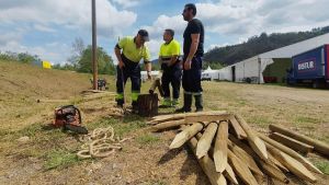 La Feria del Salmón de Cornellana llega este fin de semana con el campanu de Asturias como protagonista y actividades para todos los gustos