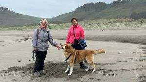Una playa asturiana pionera en admitir perros: el Playón de Bayas se convierte en punto de encuentro canino