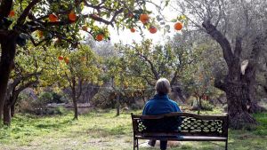 León ante el espejo: identidad, futuro y decisiones pendientes
