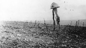 La luz roja del atardecer