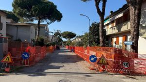 Al via la bonifica dalle radici. Manutenzioni da 200mila euro