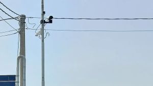 Ritorna in funzione l’autovelox lungo la Brentana ad Arsego