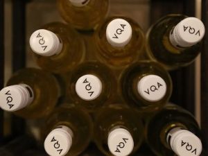 Naimi: Why is alcohol use declining in Canada?