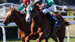 Un giovedì all’ippodromo. Profit Centre protagonista