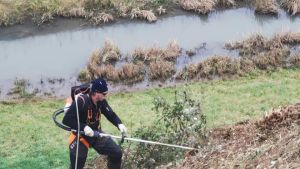Palmanova, i forestali rigenerano i Bastioni: puliti 1,5 milioni di metri quadri di storia