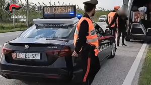 Cuccioli stipati in gabbia sull’autocarro, scoperto traffico illecito: sequestro a Latisana