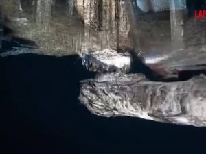 Rapina in banca a Napoli, il video che svela il tunnel sotto il caveau