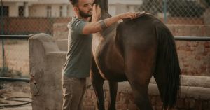 Smoothing Your Interactions