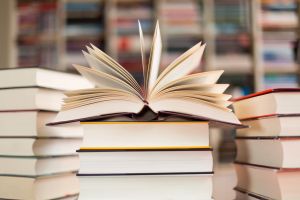 ENTRE EL REALISMO SOCIAL Y LA IMAGINACIÓN CREADOR