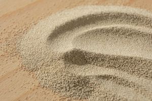 ‘Test tube orgy’: Israeli scientists use yeast to assess humans’ mating preferences