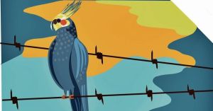 Olvidar cuando se llega a los 50