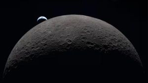 'I love you from the moon'