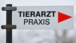 Höhere Tierarztkosten belasten Tierheime