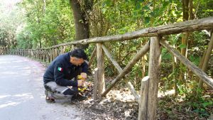 Portonovo verso l’estate. I soliti cronici ritardi per le manutenzioni. Ma qualcosa si muove
