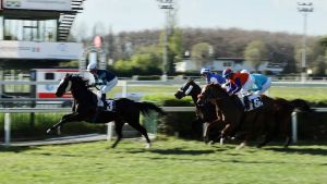 Locali, eventi, restyling: «Così il nostro ippodromo ritornerà a splendere»