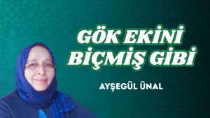 GÖK EKİNİ BİÇMİŞ GİBİ