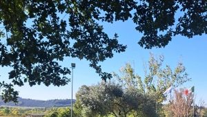 Golf. Orazi e Michelini brillano al Riviera. Verucchio incorona Canducci