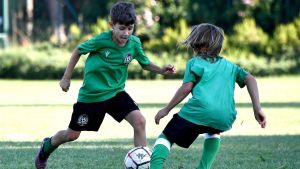 Pro Soccer Lab. In campo i baby calciatori