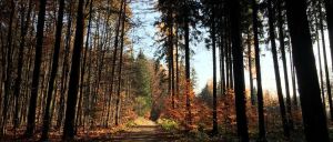 Wer wird denn gleich in die Luft gehen?