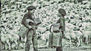 La mirada de los pastores