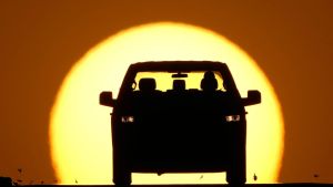 A stranger's story is vital in chain of life