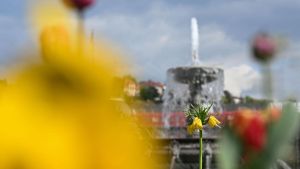 Frühlingspause: Wo Regen und Gewitter drohen