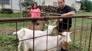 Strambino, la cascina “entra” in paese: vendita diretta in via Piemonte