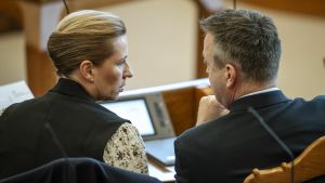 Jeg stemmer hverken på en akademiker eller en håndværker. Jeg stemmer på en person, der kan repræsentere mine holdninger