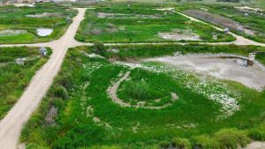 Green in the valley: Israel’s abandoned fishponds are turning into a solar goldmine
