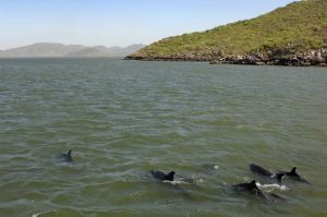 Gift-Gefahr im Paradies: Das riskante deutsche Dünger-Projekt in Mexiko