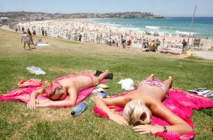 Det kan bli bilferie i sommer