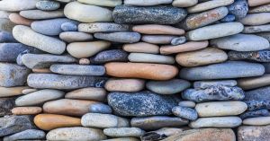 The Economics of Trust