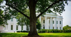 Ibogaine: A Psychedelic Solution to the Opioid Epidemic?