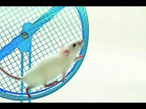 The delimitation debate reflects our inability to eschew the politics of handouts, caste and ethnicity