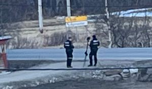 «Hipp hurra for UP»