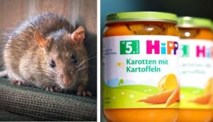 Alarming: Rat poison found in baby food jars in Austria