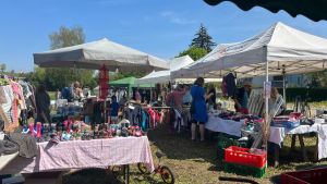Trödel, Sonne, Insel-Charme: Straßenflohmarkt auf der Reichenau wird zum Besuchermagneten